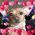 Mo Watson's profile image