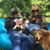 Benedicte Schoyen's profile image