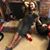 Lauren Chase's profile image