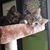 Nannette Pritchard Morrison's profile image