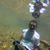 Rishi Singh's profile image