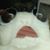 Kristi Ponder's profile image