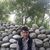 رضا جعفری's profile image