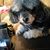 Lorraine Holcomb's profile image