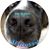 Michele Somers Cullen's profile image