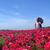Arlene Abiad's profile image