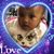 Paulette McCoy Mason's profile image