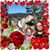Tracy Hibler Fazekas's profile image