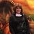 Marilyn Ohlenroth Nash's profile image