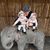 Eric Markwardt's profile image