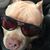 AJ-Andrea Arocha's profile image