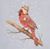 Shirley Brydalski's profile image