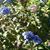 Vickie Frese Crimmins's profile image