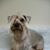 Ingrid Stoll's profile image
