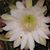 Stephanie Fairchild's profile image