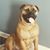 Lance N Angie Hamlett's profile image