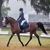 Elizabeth Furey's profile image