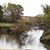 Lisa Scarborough Tscherter's profile image