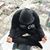 Carlos Gonzalez's profile image