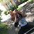 Erin Nikole's profile image