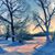 Tracie Dedrick's profile image