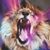 Rebecca Brown's profile image