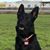 Lynda Alsip's profile image