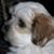 Maureen Sanchez's profile image