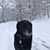 Heather Schule Moore's profile image
