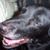 Nickolas Herbrand's profile image