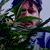 John Worman's profile image