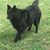 Deb Wynkoop-Boden's profile image