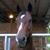 Peggie Metallo's profile image