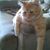 Tiffany Marquardt's profile image