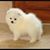 Miliu Gene's profile image