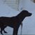 DEbbie Ferris's profile image
