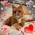 Gabrielle A. Lowery's profile image