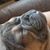 Lisa Marie Botello Norman's profile image