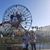 Natalie Garcia-Rosales's profile image