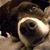 Barbara Wailes's profile image