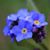 Sue Maloney's profile image