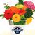 Jane Hagler Essig's profile image