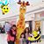 Carmen Cifuentes's profile image
