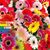 Susan Koller Atkinson's profile image
