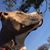 Sarah Reneker's profile image