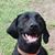 Samantha DeCare's profile image