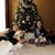 Jenny Haverty Bielanski's profile image
