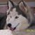 Darlene Book's profile image