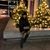 rkd2689's profile image