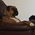 Sue Fegelein's profile image
